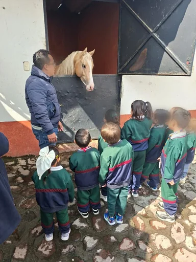Grupo de alumnos de preescolar en una visita conociendo un caballo